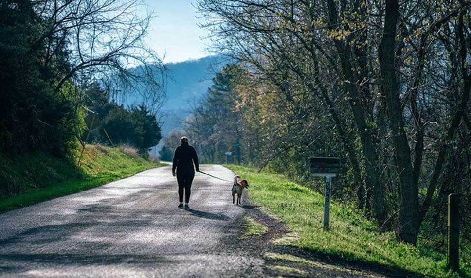 Osteoporosis patient safely walks dog outdoors.